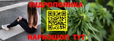 гашик Волгодонск