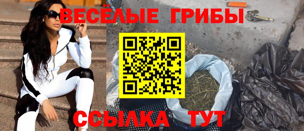 Псилоцибиновые грибы MAGIC MUSHROOMS  Псилоцибиновые грибы Psilocybe  Вход с VPN  Кореновск 